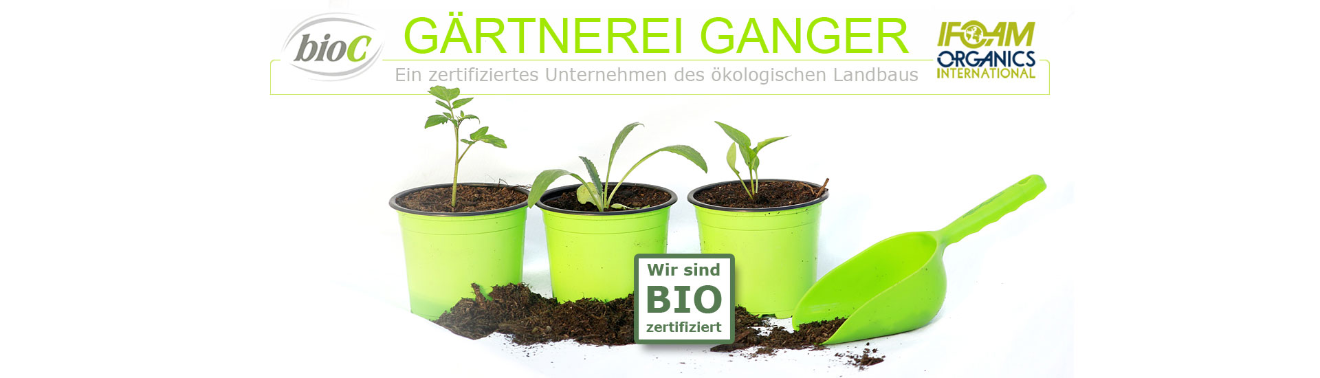 Gärtnerei Ganger | Genuss | Gemüse | Obst | Pflanzen | Floristik